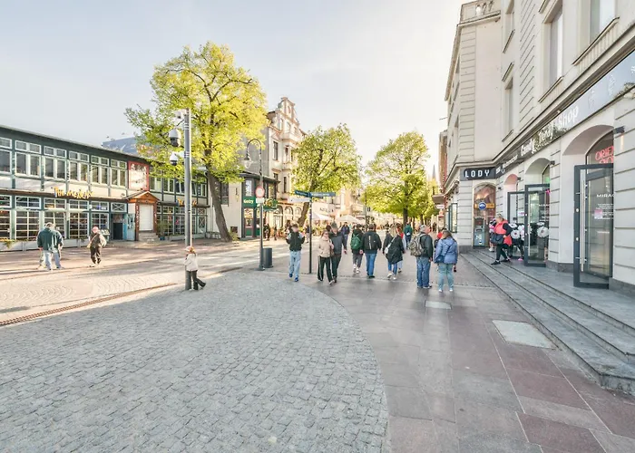 Monte Cassino 58 With View By Northside